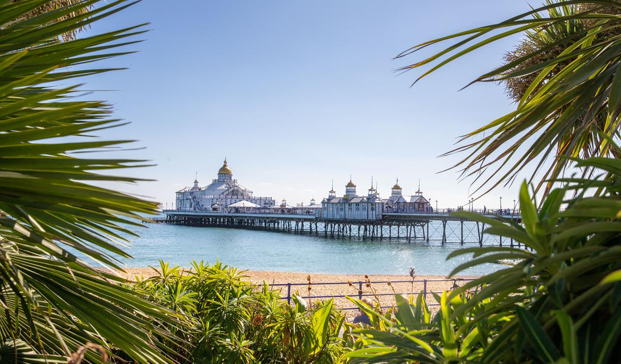 Eastbourne TTO Taalreis, uitwaaien op de pier